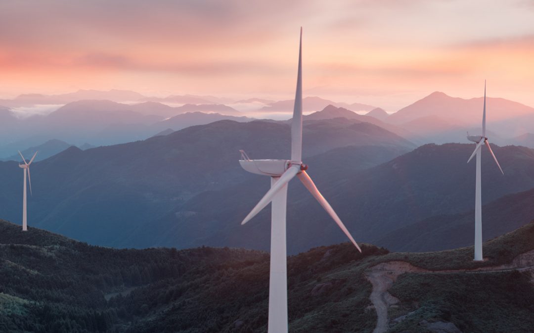 Synaptec featured in Scotland on Sunday