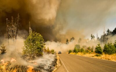 Solving Complex Feeder Protection Challenges and Reducing Wildfire Risks With Remote Measurements
