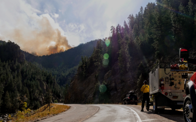 Protection methods used to reduce wildfire risk due to transmission and distribution lines